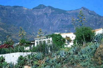 Maison de ville vendre en Valsequillo de Gran Canaria. 
